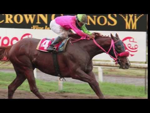 (Panamá) Picahielo a la Copa Invitacional de Importados