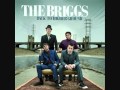 The Briggs - Wasting Time