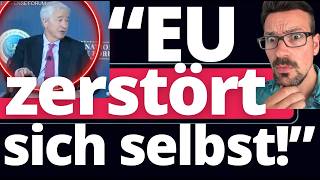 Mächtigster Banker zerlegt EU: "Sie haben alle Investoren vertrieben!"