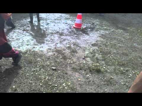 Teuf Eligmatik Parazik...