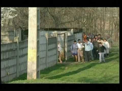 The cuckoo's nest / Cuibul de cuci - un film de Catalin Apostol