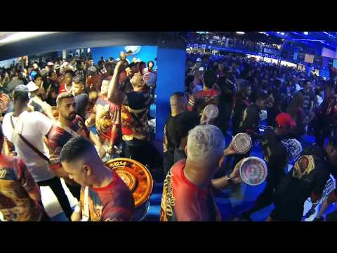 Salgueiro 2014 - Show convidado na Portela - Gaia, a Vida Em Nossas Mãos (2014)