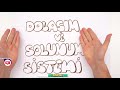 6. Sınıf  Fen ve Teknoloji Dersi  Sindirim Sistemi 6.sınıflar! #Fen Bilimleri dersinde &quot;Dolaşım ve Solunum Sistemi&quot; konusunu püf noktaları ve yeni nesil sorular ile sana bu videoda ... konu anlatım videosunu izle