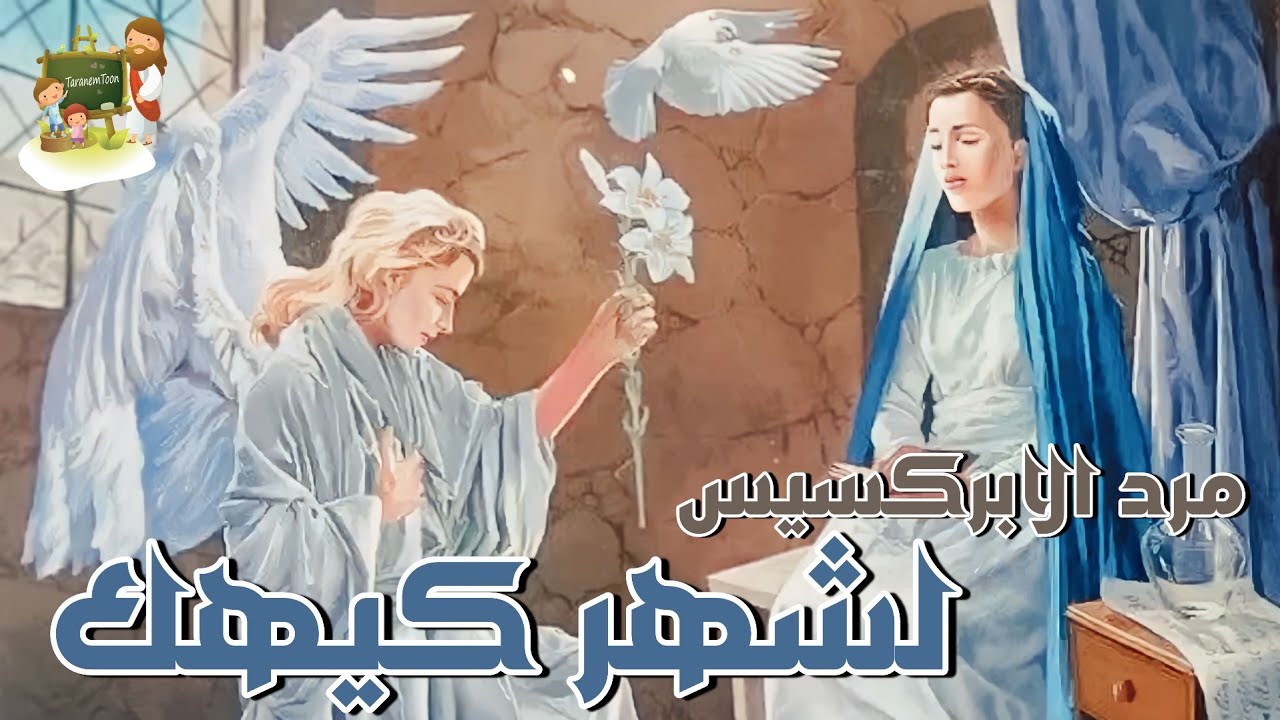 فيديو تفسير الكتاب المقدس | الكتاب المقدس رفيقي