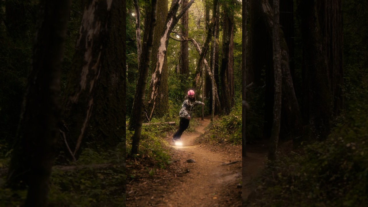 Enchanted forest #onewheel