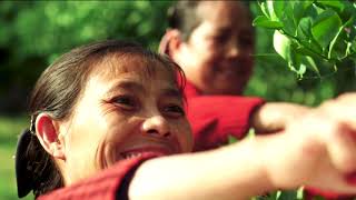 UNESCO Global Geoparks | Stunningly Different