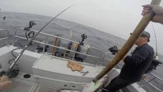 preview picture of video '2014 07 27 Ucluelet Fishing Canadian Princess'