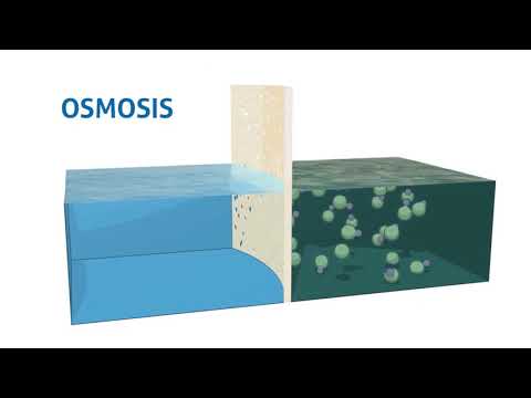 Osmosis vs Reverse Osmosis - Explained Animation