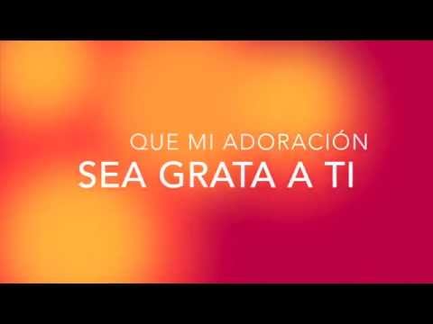 Glorifícate - Miel San Marcos