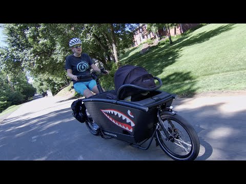 Urban Arrow Family Cargo Bike Review (CX Model)