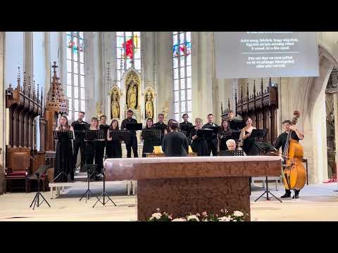 Domenico Scarlatti - Stabat Mater: 6. Fac me vere tecum flere
