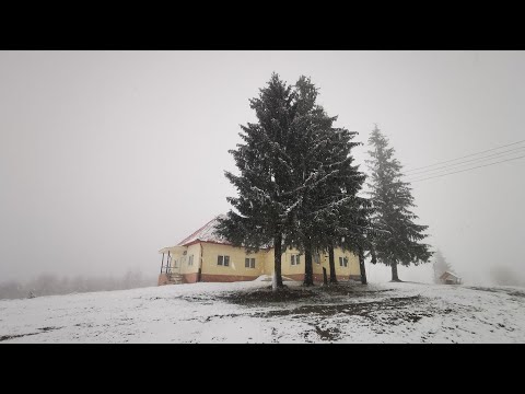 Prima ninsoare. Spectacolul iernii în Poiana Răchițelii, Ținutul Pădurenilor