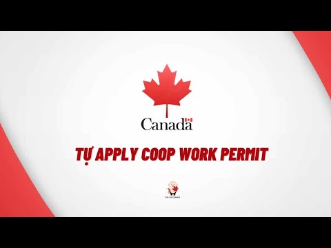 PARA APLICAR PERMISSÃO DE TRABALHO COOP CHO KÌ ESTÁGIO / COOP