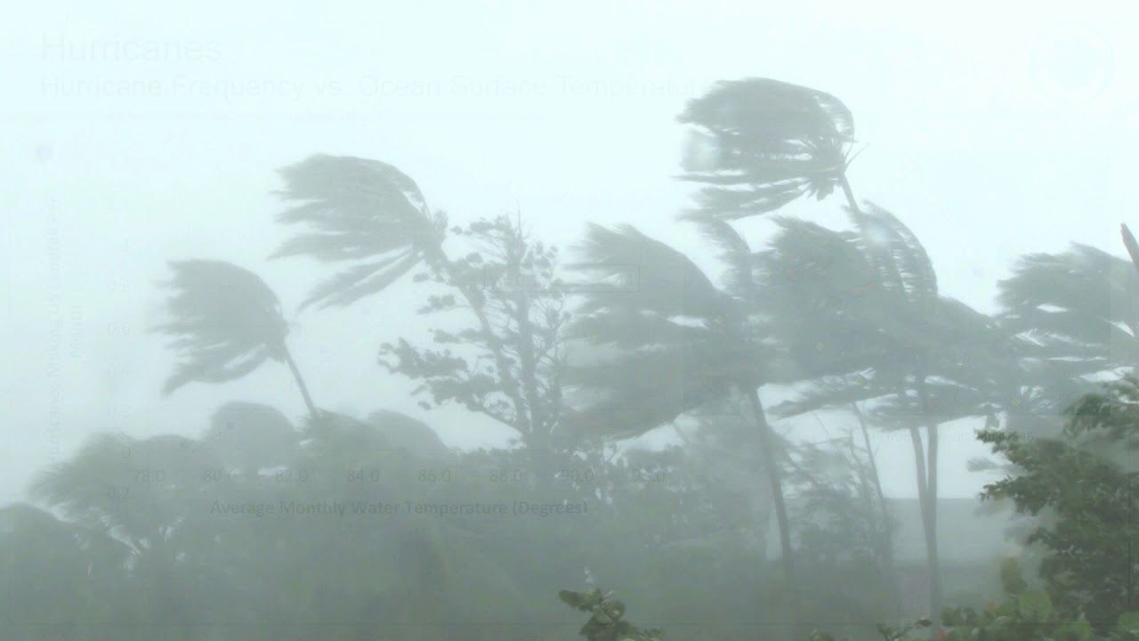 Docu-short: The Rising Cost of Climate Change [Short Version]