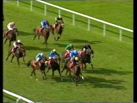 1993 Multiyork Handicap