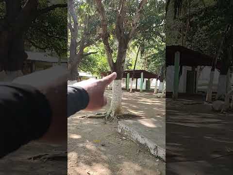 Bica do açude de general Sampaio ceará