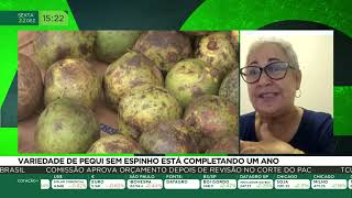 Miniatura do vídeo