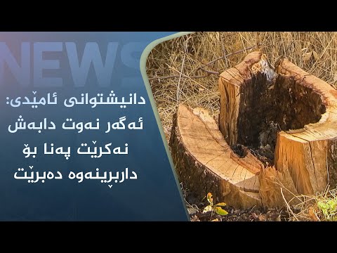 بەڤیدیۆ.. دانیشتوانی ئامێدی: ئەگەر نەوت دابەش نەکرێت پەنا بۆ داربڕینەوە دەبرێت
