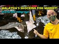 Shocking 4am Morning Fisherman S Market In Kuantan Pahang MALAYSIA TRAVEL VLOG GUIDE