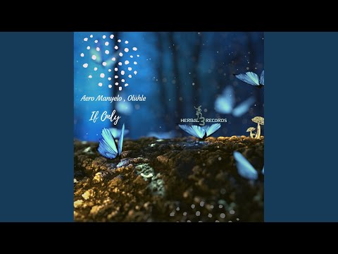 If Only (DJ Micks Mr Piano Man Mix)