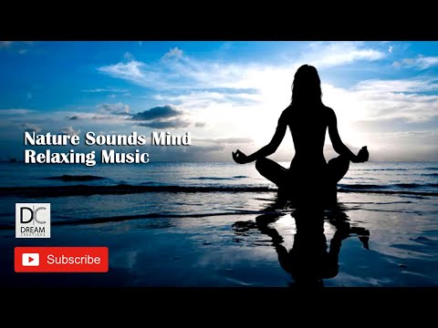 Nature Sounds Mind Relaxing Music