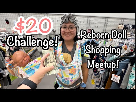 Reborn Baby $20 Shopping Challenge Meetup And Haul!