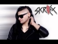 Skrillex Make it BUN DEM+Lyrics 