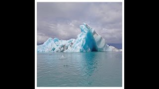 Surfer Blood - Dino Jay