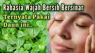 Download lagu Keeps You Younger!! The Benefits of Chinese Betel Leaf for a Naturally Clean and Glowing Face mp3