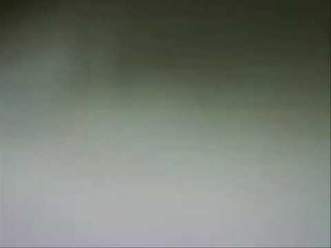 Rav elyashiv ztzal and gerrer Rebbe shlita