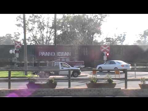 Two MZ locos fly through Forbes NSW