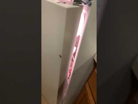 WoodSpring Suites Fort Worth Fossil Creek - Roaches are everywhere