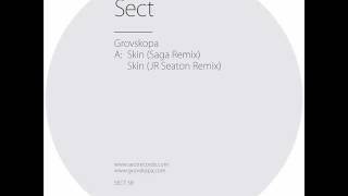 Grovskopa - Skin (Saga Mix) -  [Sect 5R]