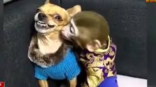 Download lagu inaan eynima ku so bira umalayna kulaha mp3