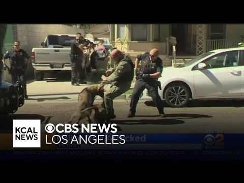 , title : 'Caught On Video: Police K-9 Attacked By Pit Bull In Anaheim'