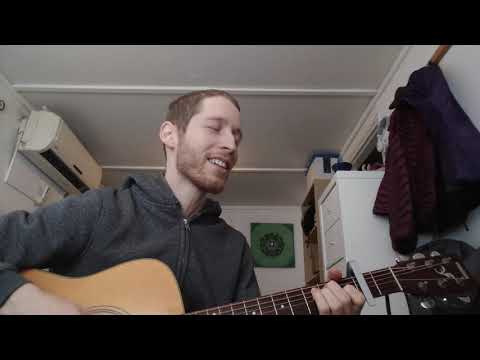 The Orange and the Green Cover | The Irish Rovers | Aymusicc