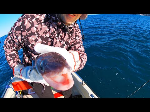 Boat fishing in the adriatic sea