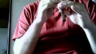 Nancy Spain (tin whistle)