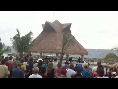 Bobby Acoustic on the beach - Riviera Maya Hard Rock LOOSE LUCY