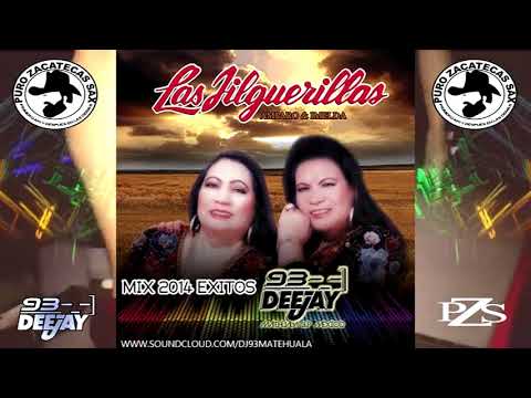 Las Jilguerillas Mix (2023 ReUpload) Dj 93 PZS