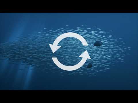 HGK projekt: Riba Hrvatske - Jedi što vrijedi