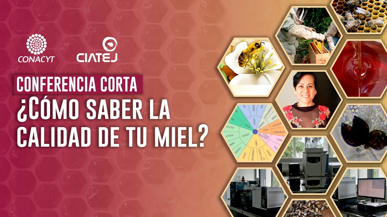 ¿Cómo saber la calidad de tu miel?