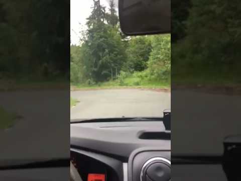 Straja 18 iunie 2017