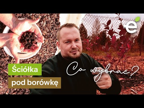 ŚCIÓŁKOWANIE borówki amerykańskiej. Który materiał sprawdza się najlepiej?