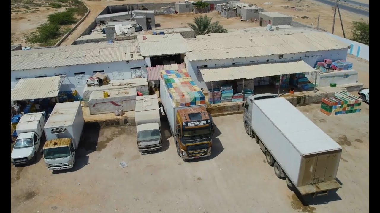 Preserving Fresh Yemeni Fish with Green Energy: The Baweizer Factory Story