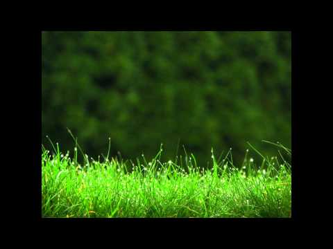 Intra feat. Kosheen - Catch (Original mix)