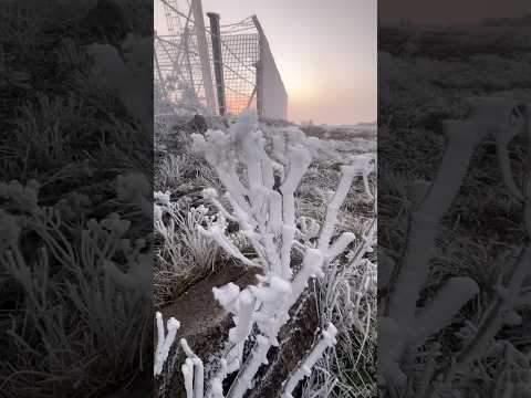 Urupema amanheceu hoje assim -3°C , muito gelo e sincelo! Que dia!!