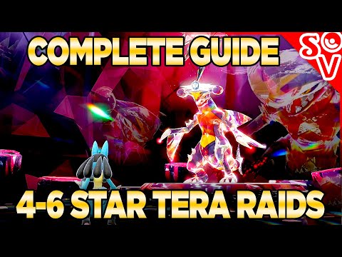 Tera Raid Board