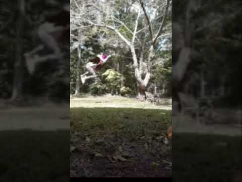 This goes out to my wing phantom shifts #therianthropy #therian #cayote #servalcats