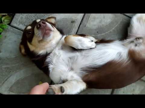 Валера на работе./Встречаем Валеру/